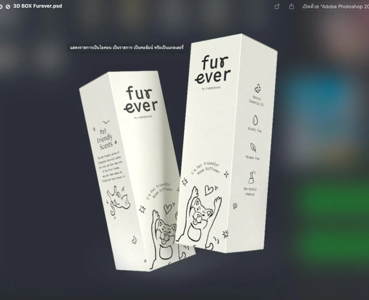 รูปตัวอย่างกล่องเซ็ตและของขวัญ 3D BOX Furever สำหรับรับผลิตกล่อง รับทำกล่อง และผลิตกล่องโดย Box Corner Art มุมที่ 3