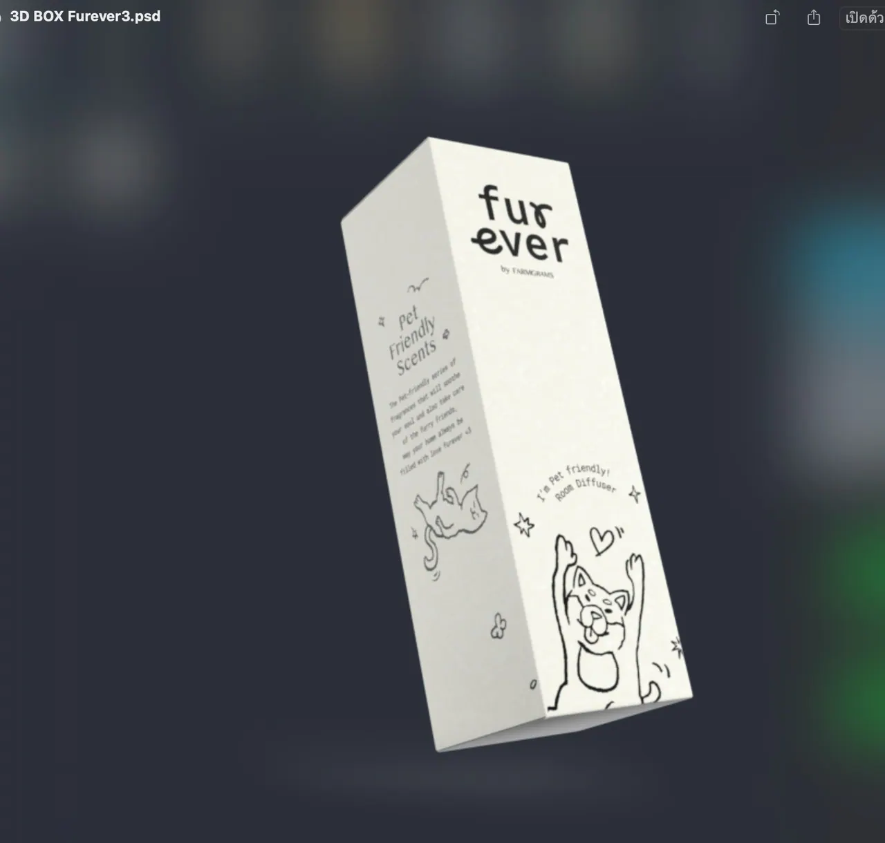 รูปตัวอย่างกล่องเซ็ตและของขวัญ 3D BOX Furever สำหรับรับผลิตกล่อง รับทำกล่อง และผลิตกล่องโดย Box Corner Art มุมที่ 4