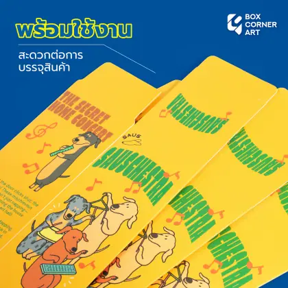 กล่อง SAUSCHESTRA รูปที่ 2
