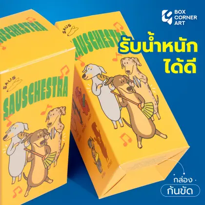 กล่อง SAUSCHESTRA รูปที่ 3
